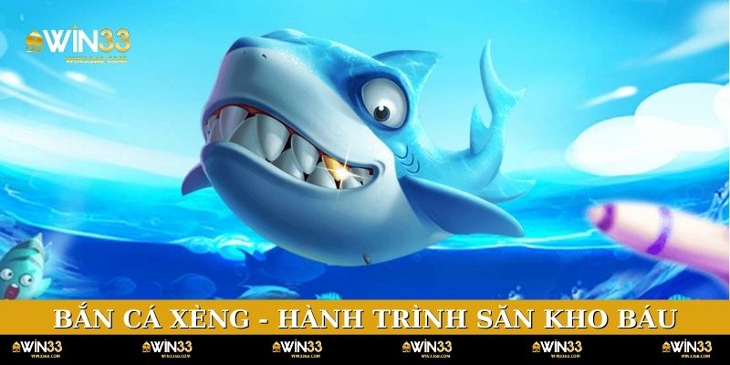 ban-ca-xeng