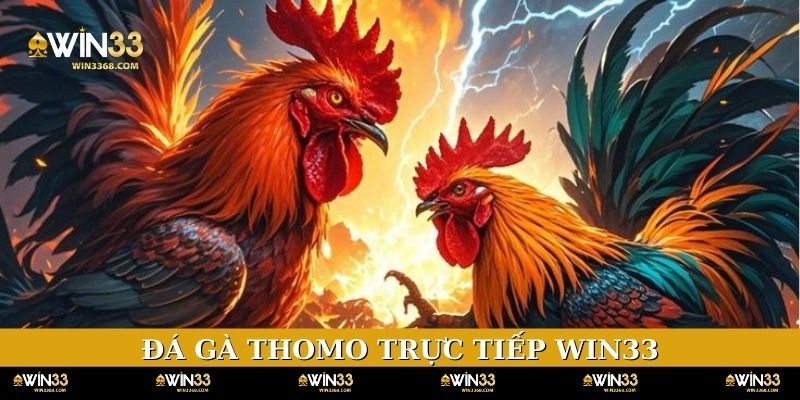 da-ga-thomo-truc-tiep