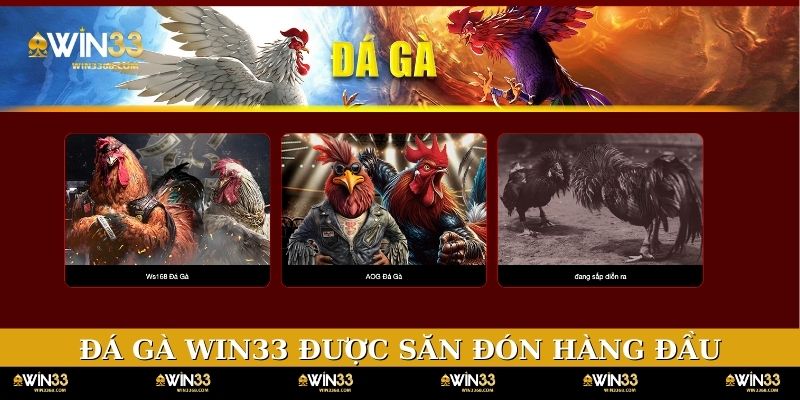 Đá gà WIN33 là chuyên mục được săn đón hàng đầu