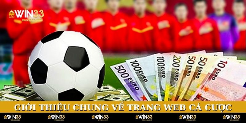 Giới thiệu chung về trang web cá cược thể thao online