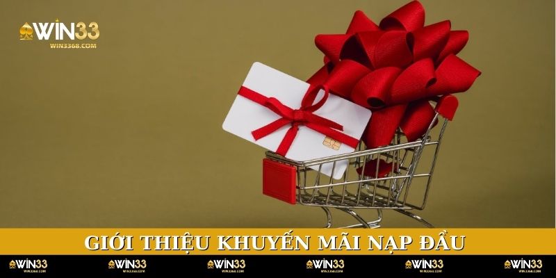Giới thiệu sơ lược về chương trình khuyến mãi nạp đầu